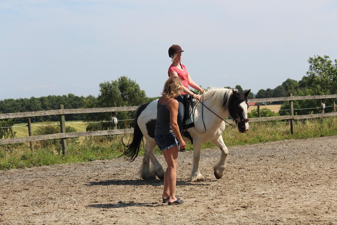 Irish Cob Django - Undervisning af Katrine Boelsgaard 28.7.2012 billede 17