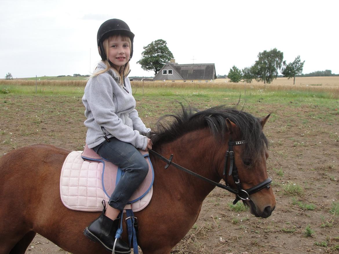 Anden særlig race - Os To Forever Smukke Søde osv. Pony!<3 - - Lotte står og Kigger på Græs-folden!

:Græs tænker hun: billede 6