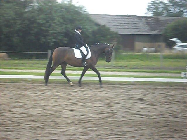 Anden særlig race St. A. Washeba - GSPR 29-07-2012 :) billede 4