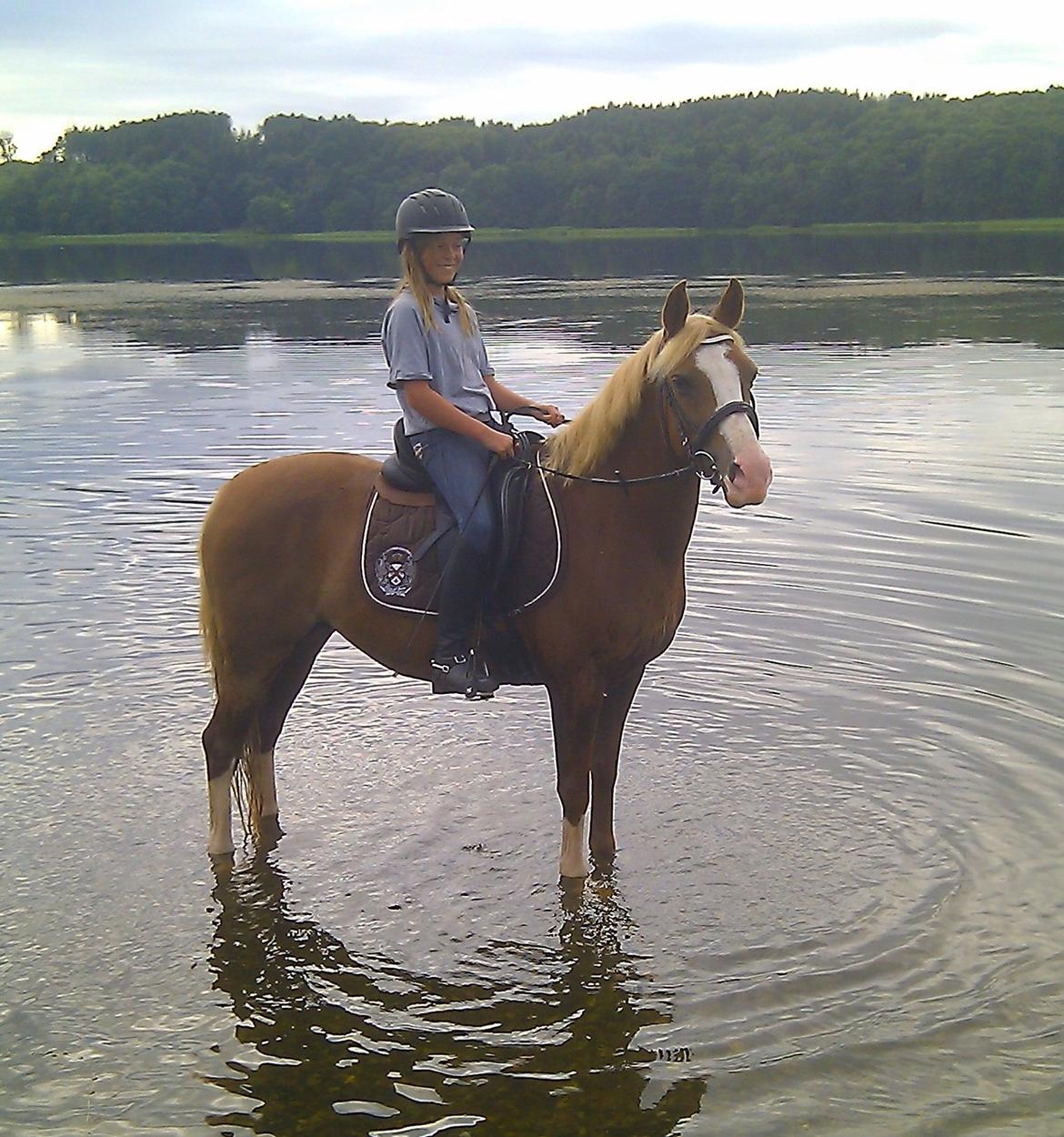 DSP Zita A. M - Zita og mig ved Kilen... billede 7