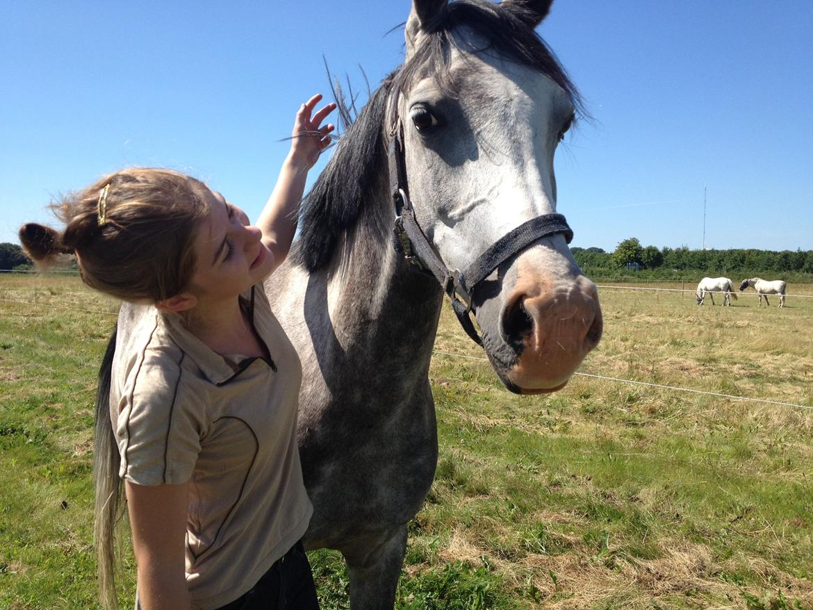 Sportsaraber (A) Gomez - skat <3 billede 14