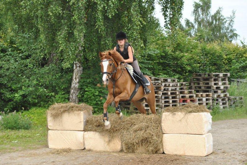 Anden særlig race Passir <3 <3 - Overnatnings ridelejre 2012:
terræn springning:D
 billede 11