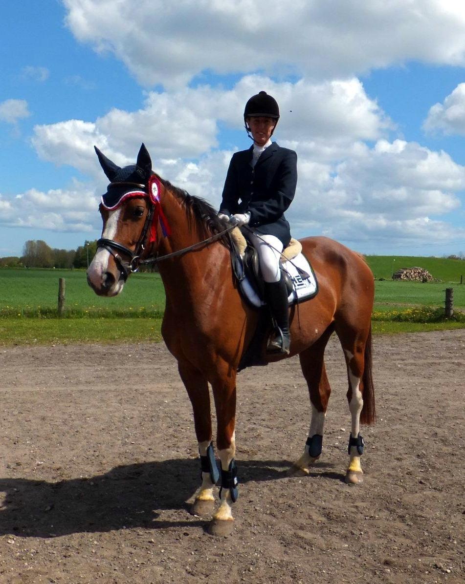 Tysk Oldenburger Gørklitgårds Octana billede 8