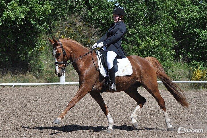 Anden særlig race Sheila - Helene og Shela, i en LA1 :)   billede 4
