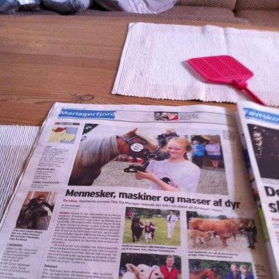 Shetlænder Tine!<3 (bamsen) - Mig og Tine er i avisen:-D<3<3 billede 18