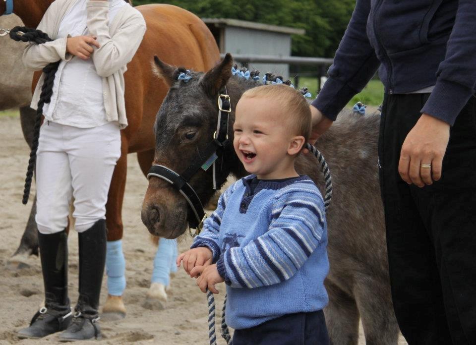 Anden særlig race King kong billede 9