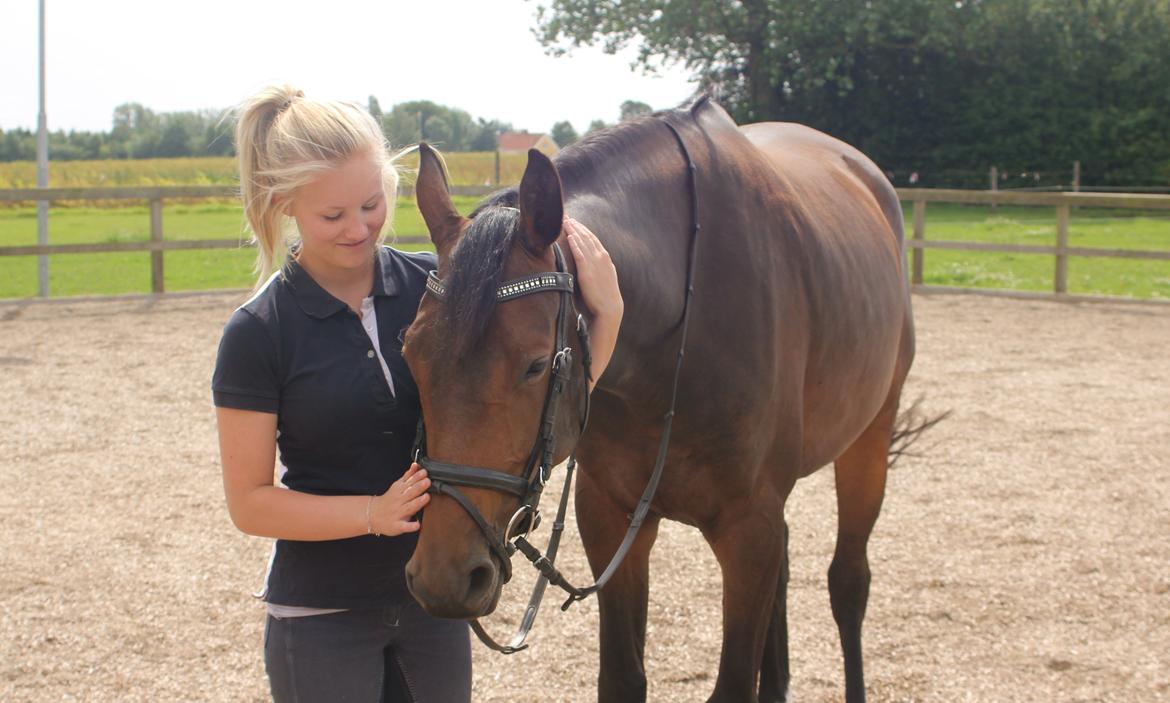 Holstener Aloa Lyngriis billede 10