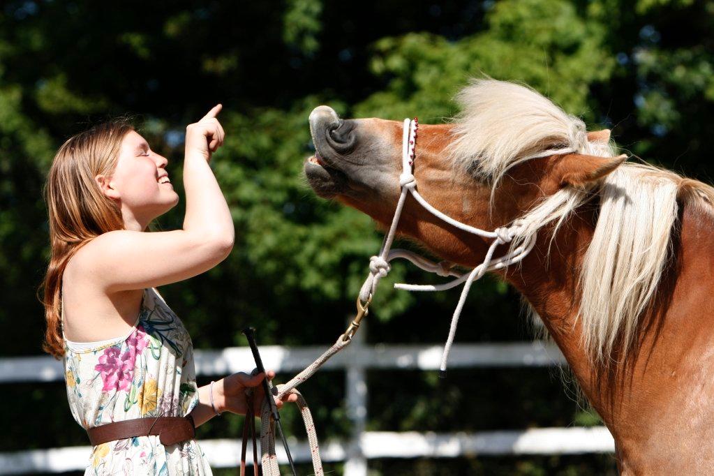 Anden særlig race Lille Lyn - 1. Smile-tricket ©AM billede 1