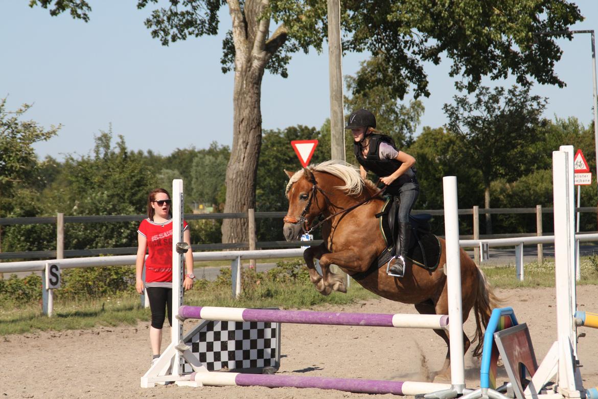 Anden særlig race Lille Lyn - 6. Emilie får springundervisning - super flot og de kom op og springe 70cm! billede 5