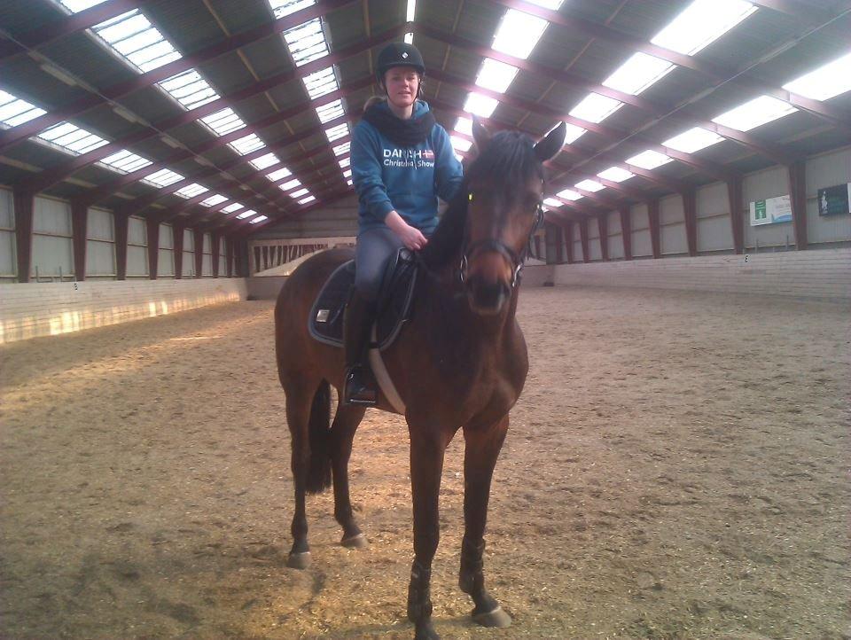 Holstener Cassiopeia - 2012 billede 10