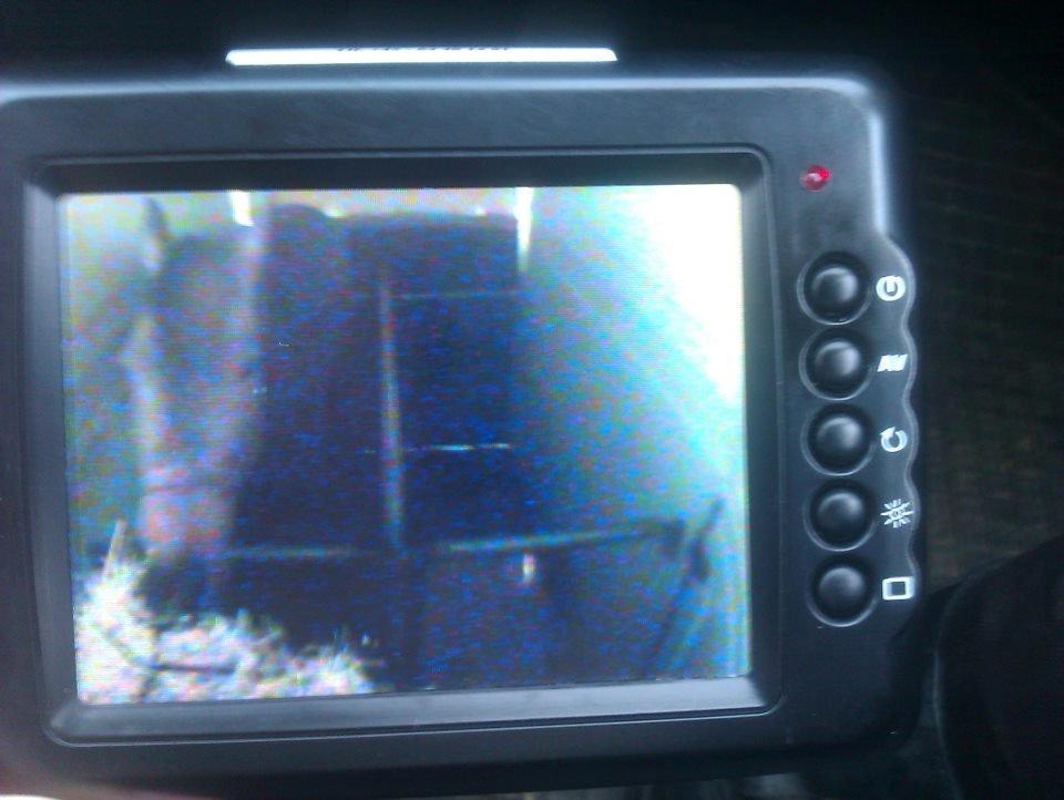 Holstener Cassiopeia - Da vi var på vej hjem med hende :) 2012 billede 13