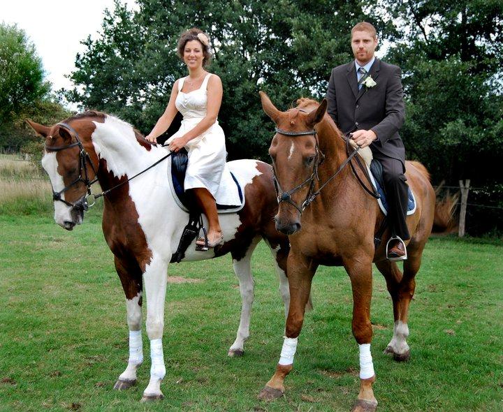 Pinto Mr. Hilton Aquador The lll - Pintoen på dette billed er faren til Mr. Hilton billede 13