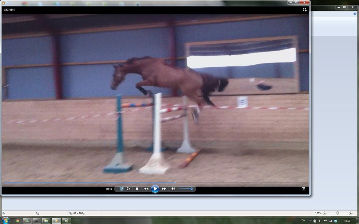 Dansk Varmblod Quick Lady BZ - Springet er 150 cm, så den lille hest kan da godt springe lide ;-) billede 18