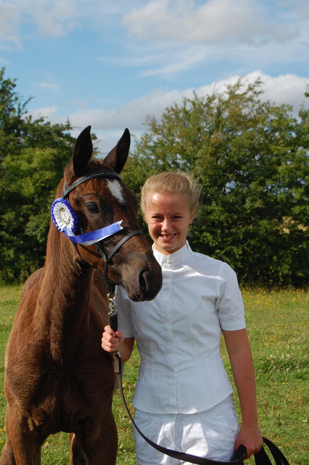 Oldenborg Spankengårdens Zola billede 15