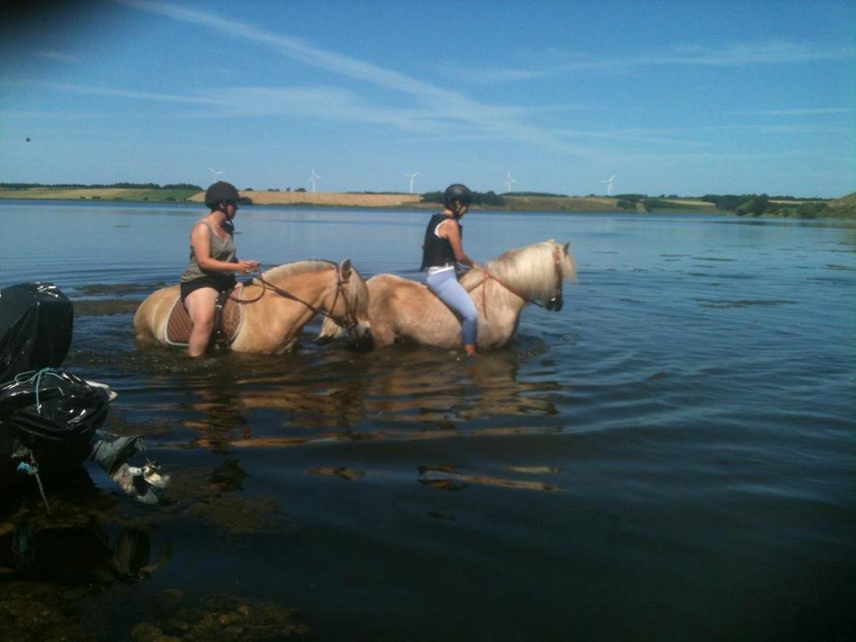 Anden særlig race cæcar - mig og cæcar og iben og pipi i Glenstrup sø ;-) billede 19