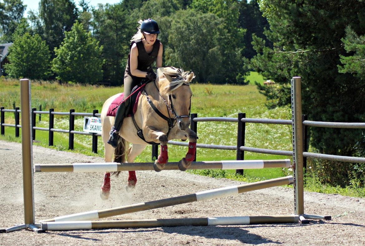 Fjordhest Salina *Prinsessen* - prinsessen og jeg til springundervisning d 27.7.2012 <3  billede 17