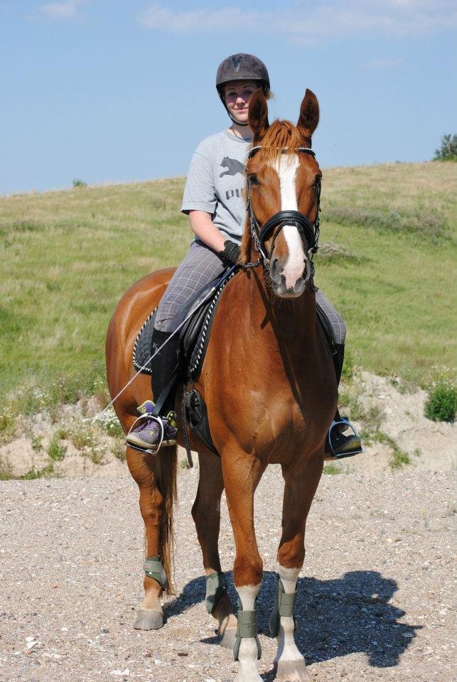Anden særlig race FoxTrot - Min smukke hest og mig på motorvej broen :D billede 8