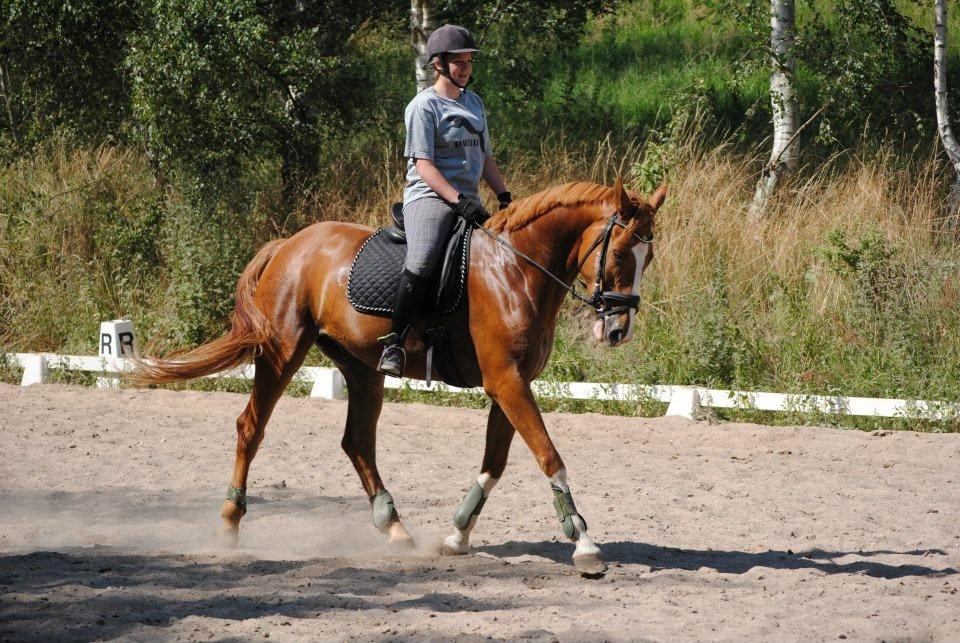 Anden særlig race FoxTrot - læks <3 billede 9