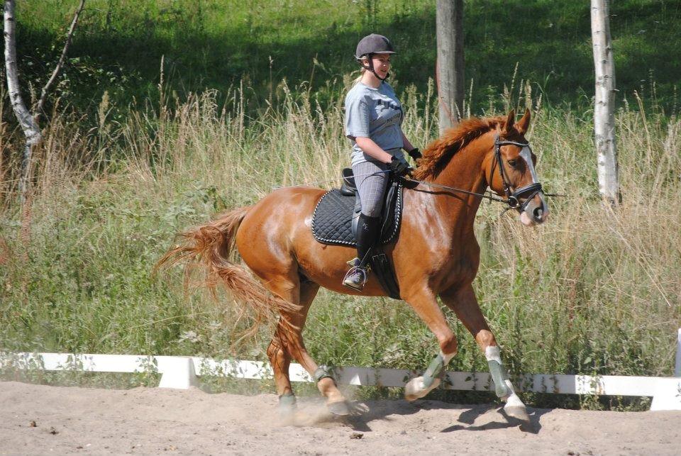Anden særlig race FoxTrot - Når du er glad bringer du smilet frem på mine læber <3 :D billede 12