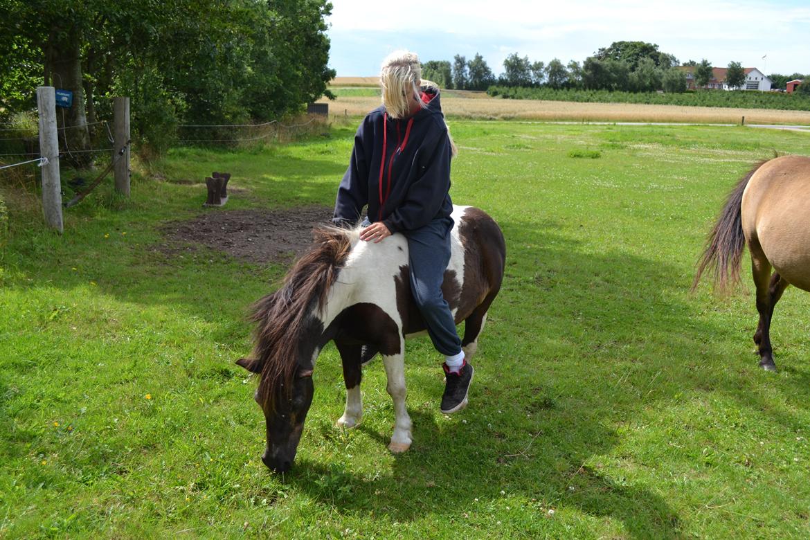 Anden særlig race Samba billede 7