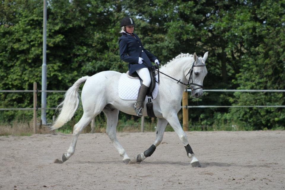 Sportsaraber (A) Gøben - Lc3 billede 3