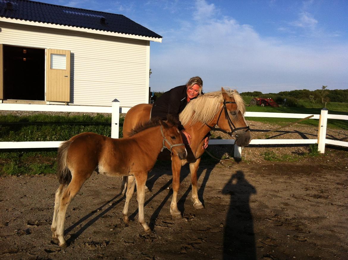 Anden særlig race Wantihs Angel billede 15