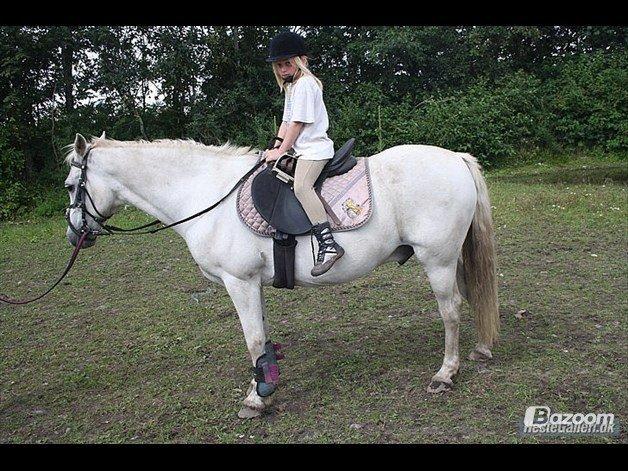 Anden særlig race Miggi billede 3