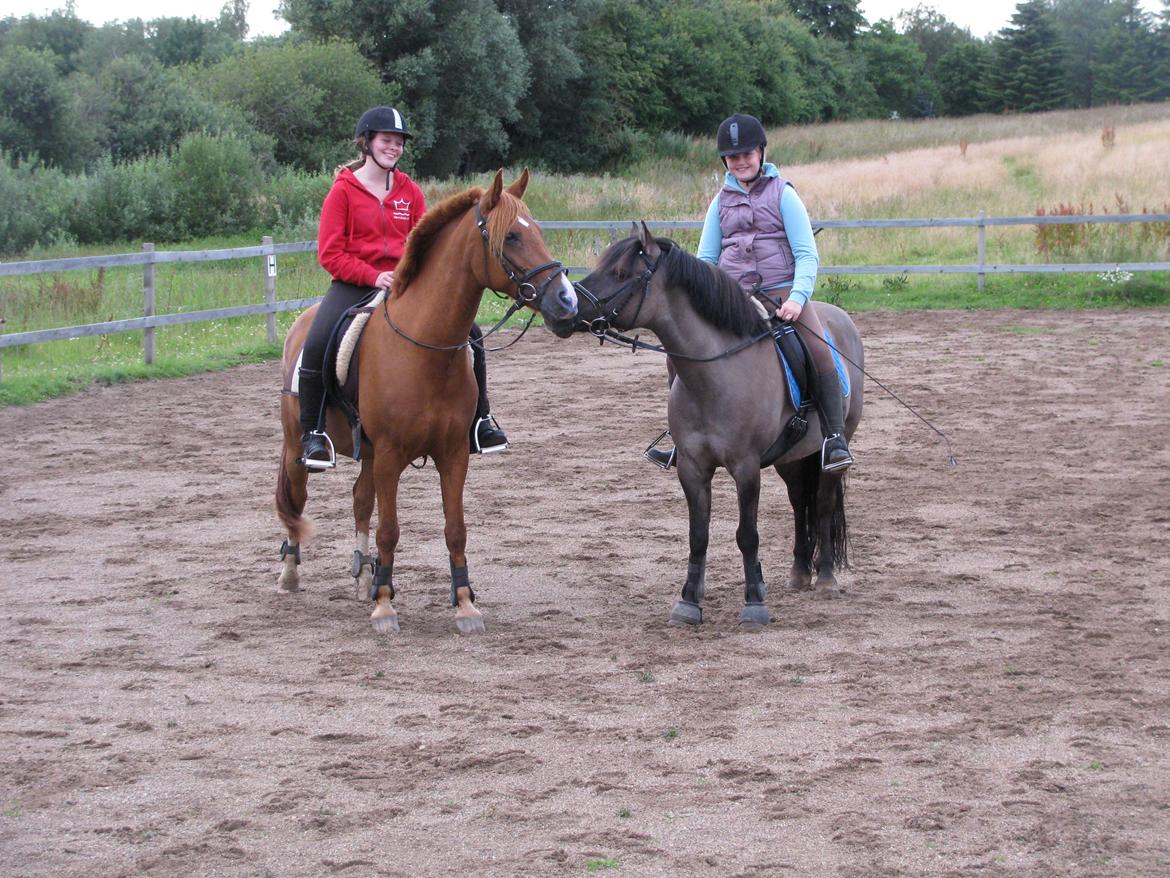 Welsh Cob (sec D) oliver - venner for livet<3 :-*

tak fordi i kiggede forbi:) billede 13