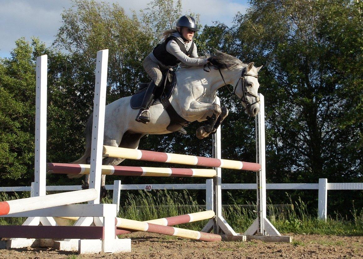 Anden særlig race Jasmin*Solgt )':* <3 - Kunne ikke stå for dette billede!<3
90-100. billede 7