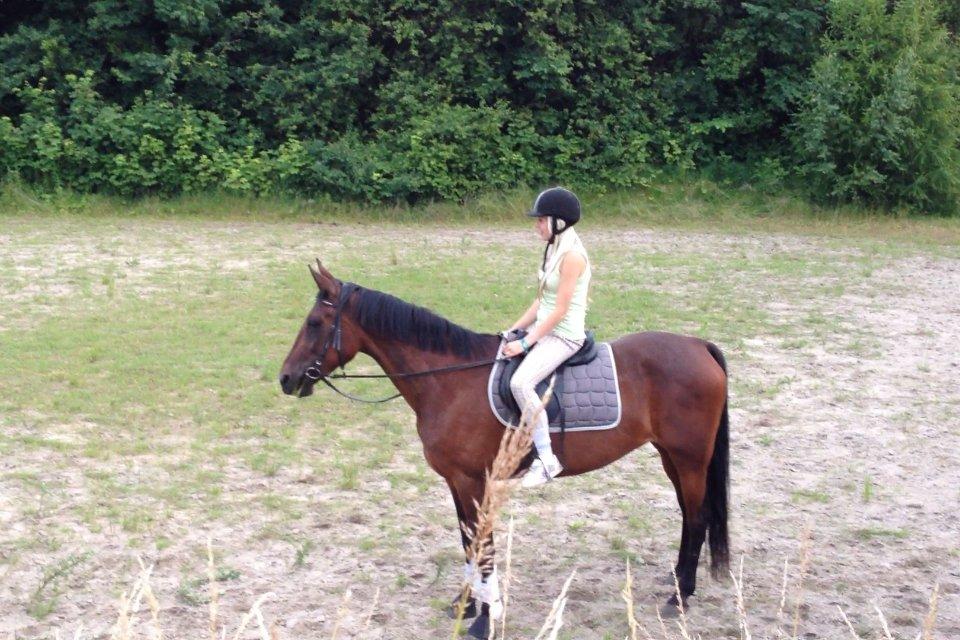 Traver Mybony Hackstable (Mille) solgt <3 billede 3