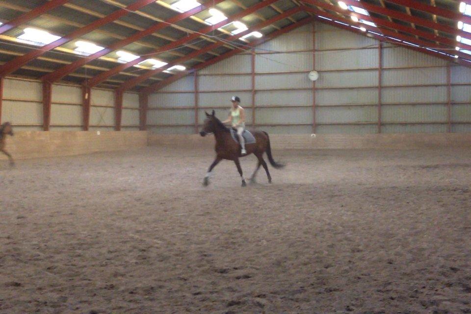 Traver Mybony Hackstable (Mille) solgt <3 billede 4