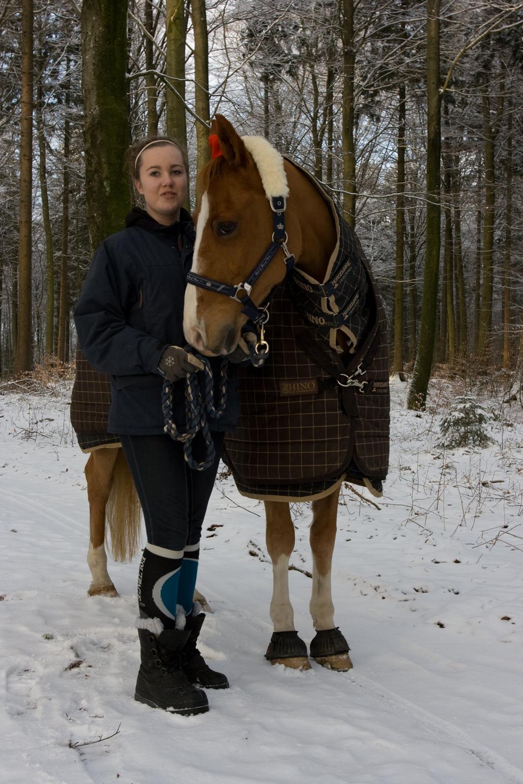 Anden særlig race Gyvelgårdens Jolly - Min bedste ven<3 billede 2