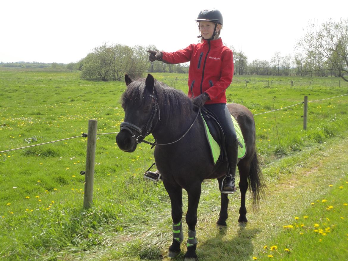 Anden særlig race R.I.P Robin<3<3 - Forår 2012.<3 billede 19