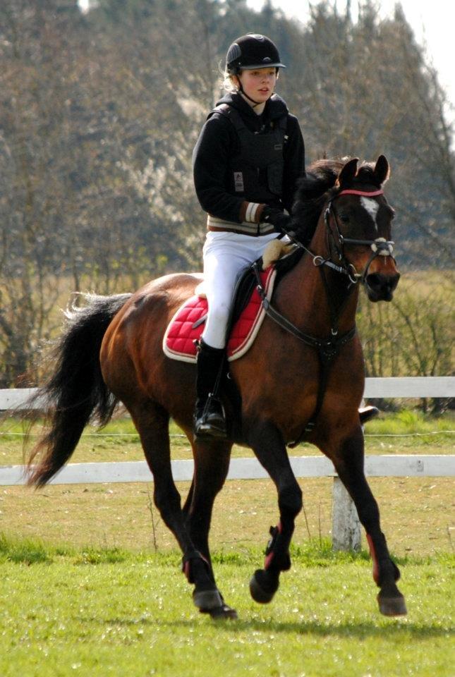 DSP Sa lee - Glad på banen til stævne i Søhøjlandets cup på Lindegaarden.

Foto: Rikke Bech Hansen
April-2012 billede 3