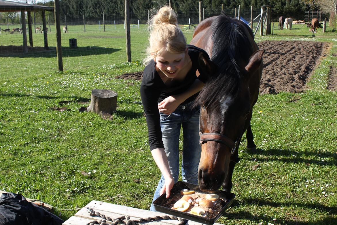 DSP Sa lee - Umh..
lækker kage til Sa Lee´s fødselsdag den 1 maj :)

Foto: Annette/mor
Maj: 2012 billede 16