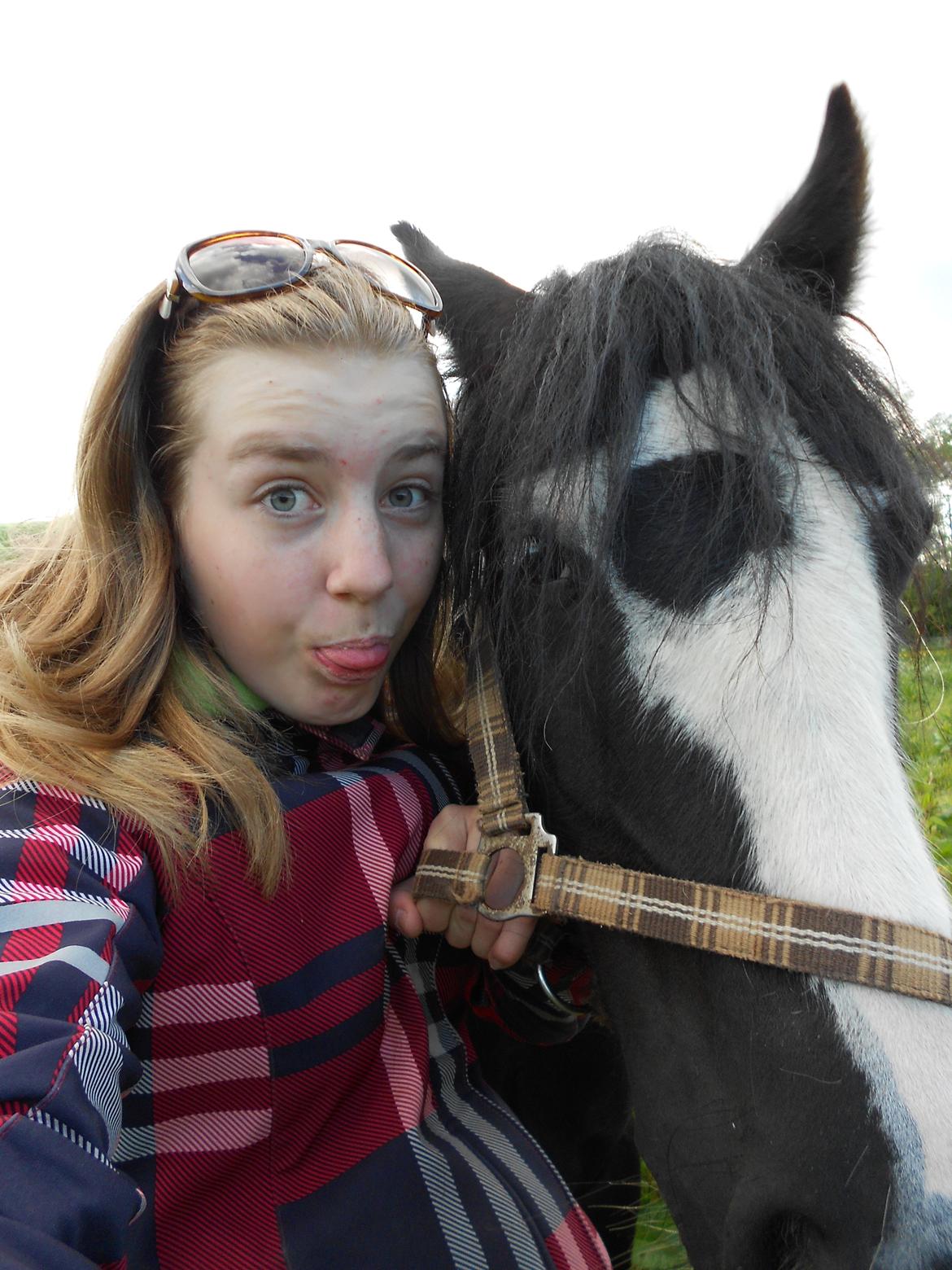 Irish Cob Plet (Hotspot<3) - Hehe :)<3 billede 2