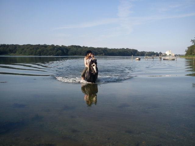 Irish Cob Plet (Hotspot<3) - Ude at bade :)<3 billede 5