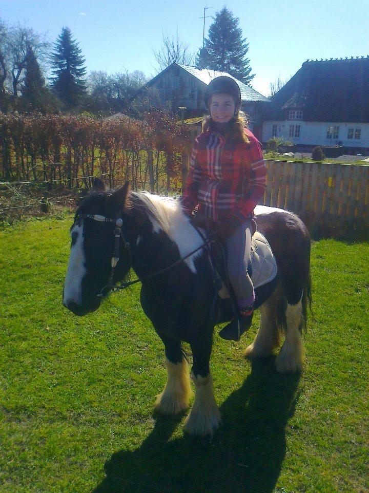 Irish Cob Plet (Hotspot<3) - Gammelt billede af mig og Plet :)<3 billede 6