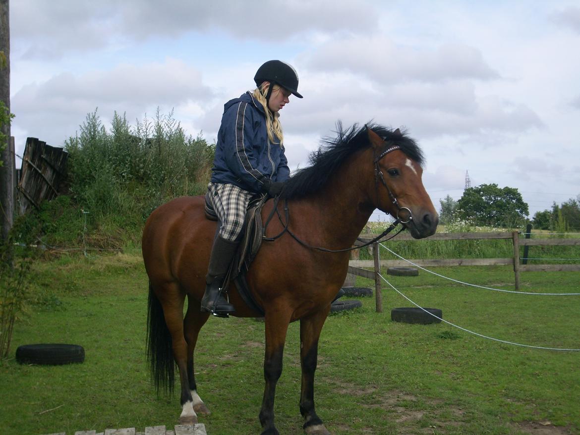 Anden særlig race Ivan (Charmetrolden) :D - Nej! Caroline, det gider jeg altså ikke!

Okay okay! Men please bare lidt søde Ivan! billede 13