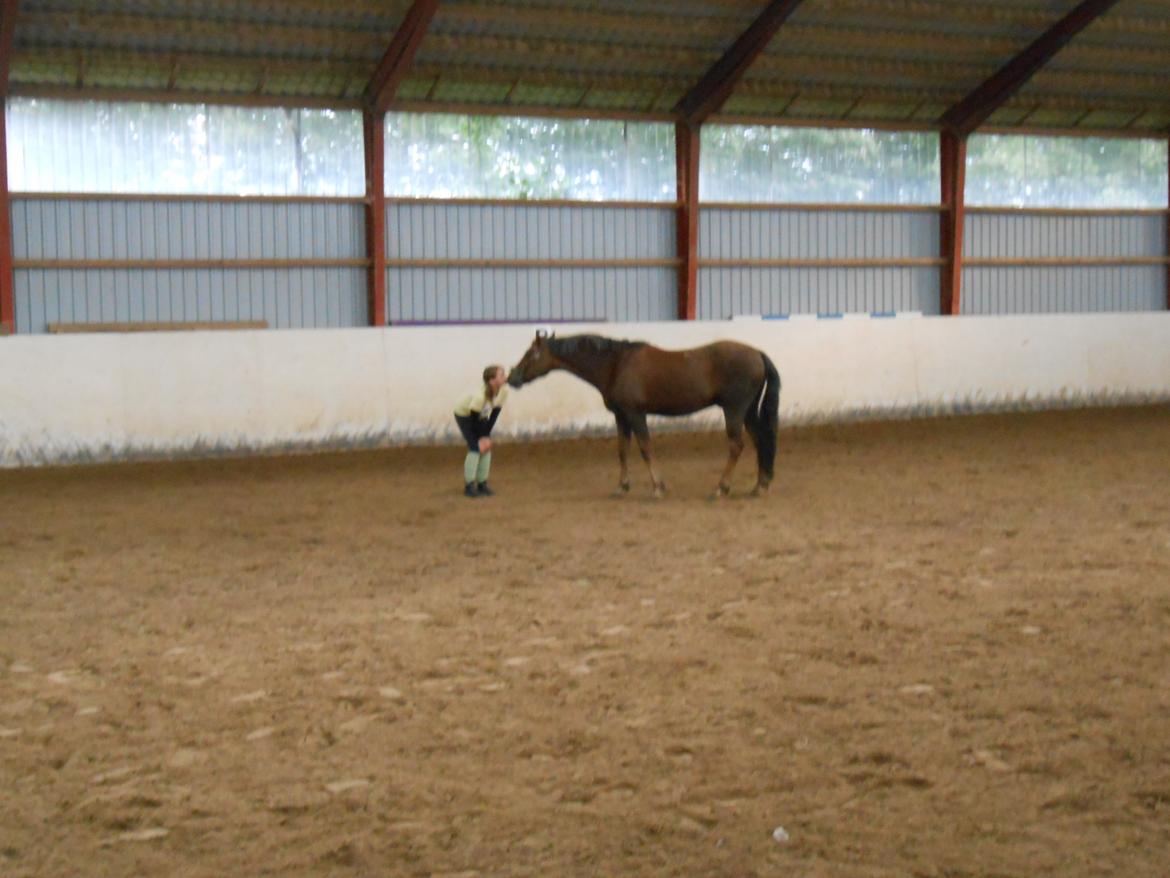 New Forest Choni - giv mig et KYS billede 2