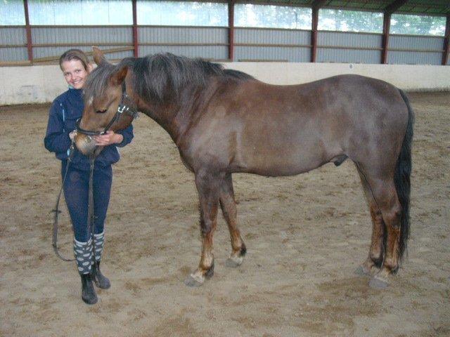 New Forest Choni billede 7