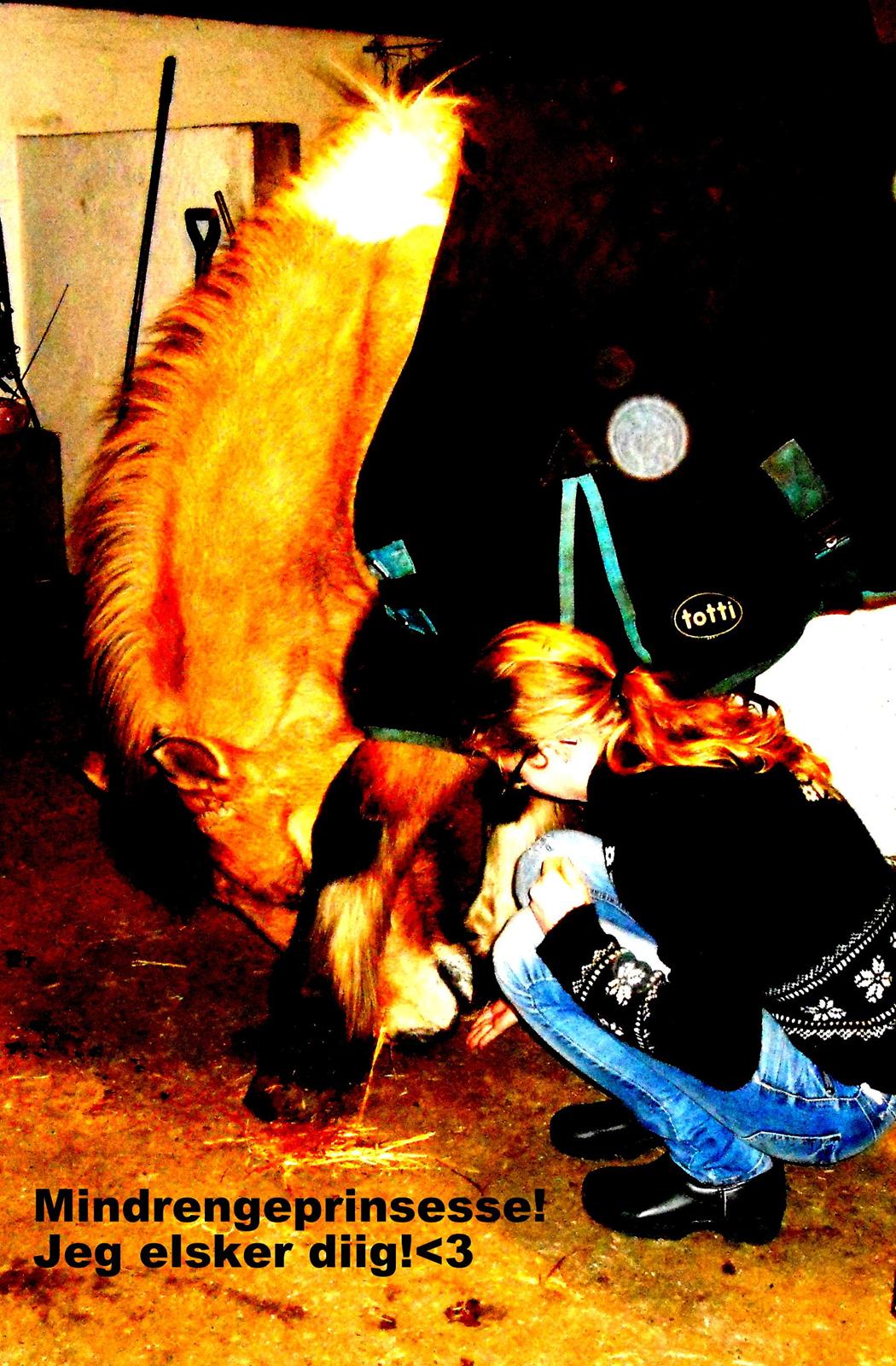 Anden særlig race B.S billede 9