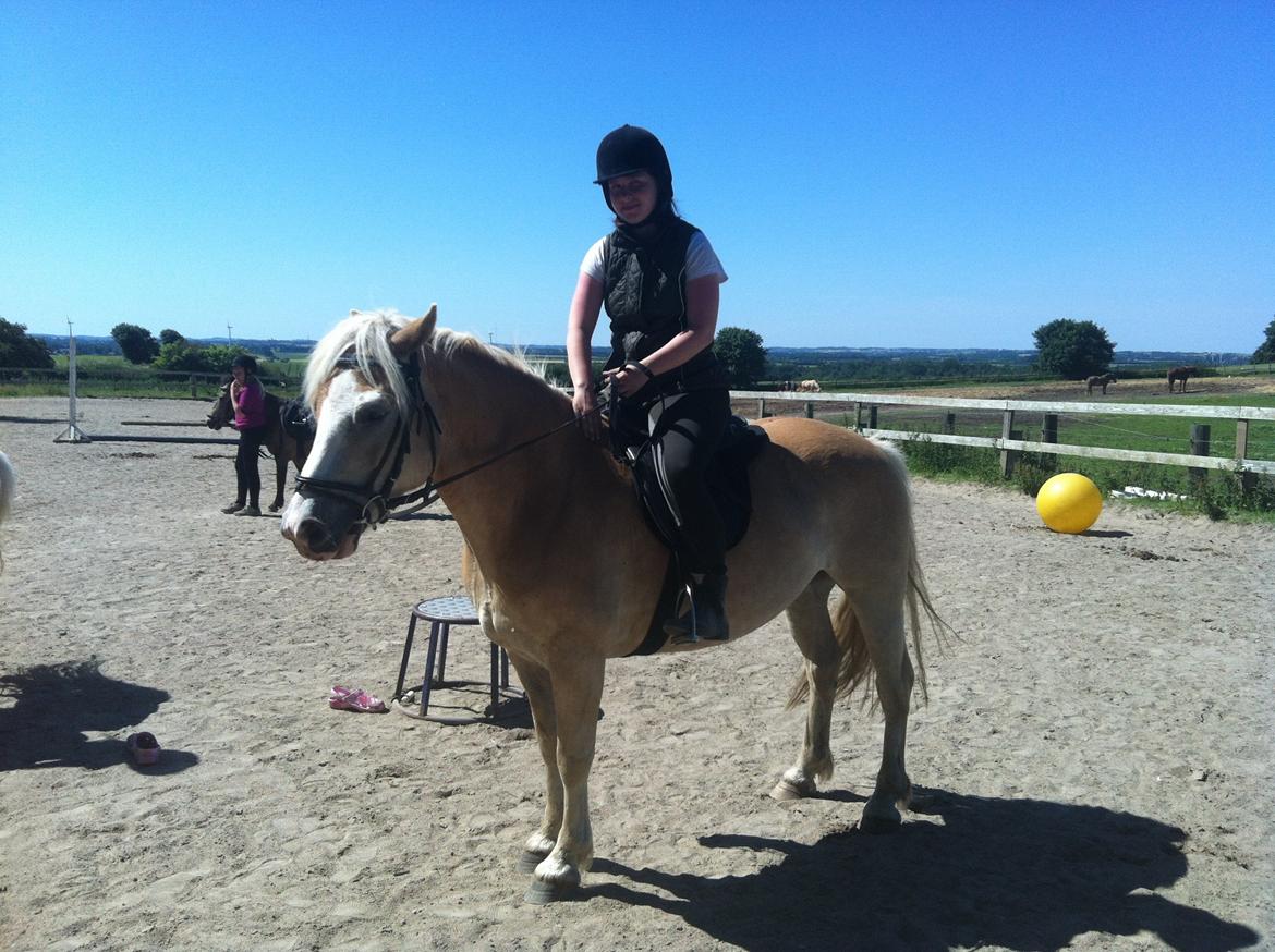 Haflinger Valentin - Så er det anden gang i år jeg har siddet på ham :-)
Det gik super godt er så glad for at have fået part på ham nu :-) billede 8