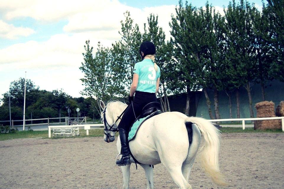 Anden særlig race Shadow (Part) - 22 juni 2012♥  billede 2