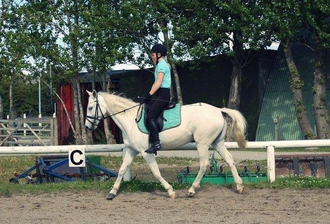 Anden særlig race Shadow (Part) - 22 juni 2012♥ billede 4