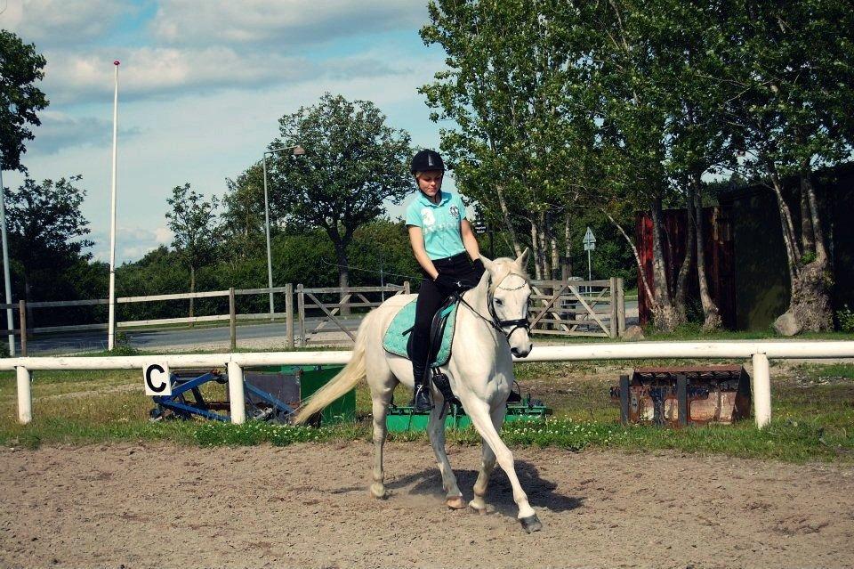 Anden særlig race Shadow (Part) - 22 juni 2012♥ Dyyygtig!♥ billede 3