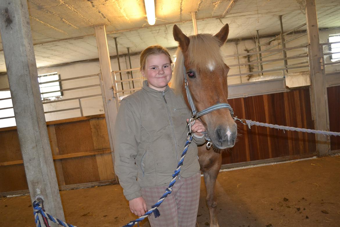 Islænder Glodis billede 2