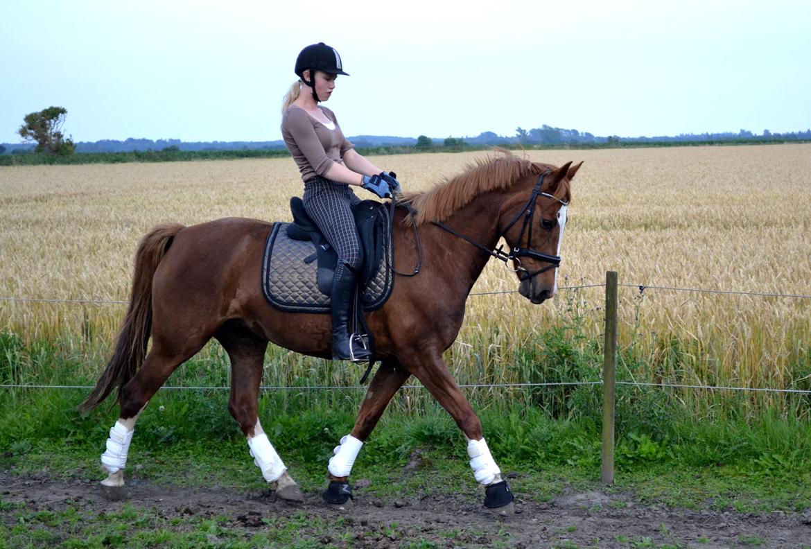 Anden særlig race Sheila - Mig og Shela, 2 gange hjemme :) billede 5