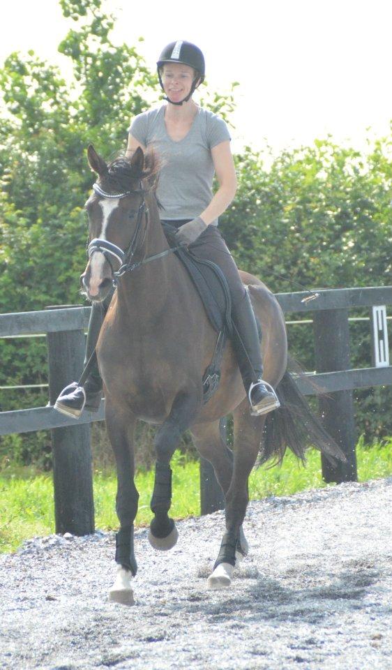 Dansk Varmblod Lindehøjs Larissa billede 20