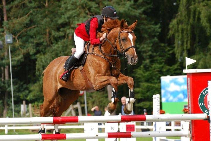 Anden særlig race Mañaña *STJERNE* - Mañana jysk rideuge 2012 LB1* 8 plads :) <3 billede 1